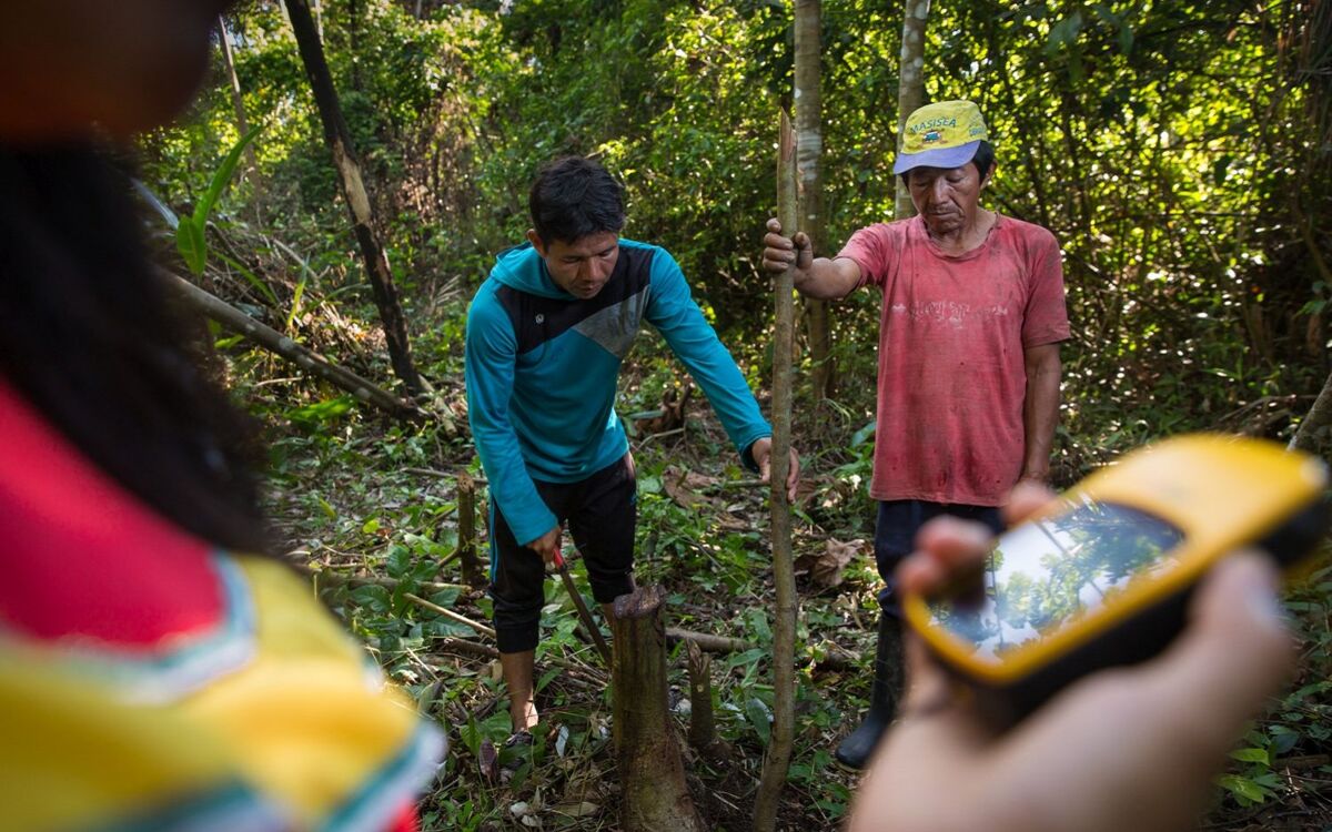 Verantwortungsvolle Landpolitik