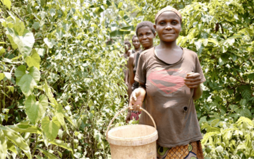 Ich bin ein Alternativtext