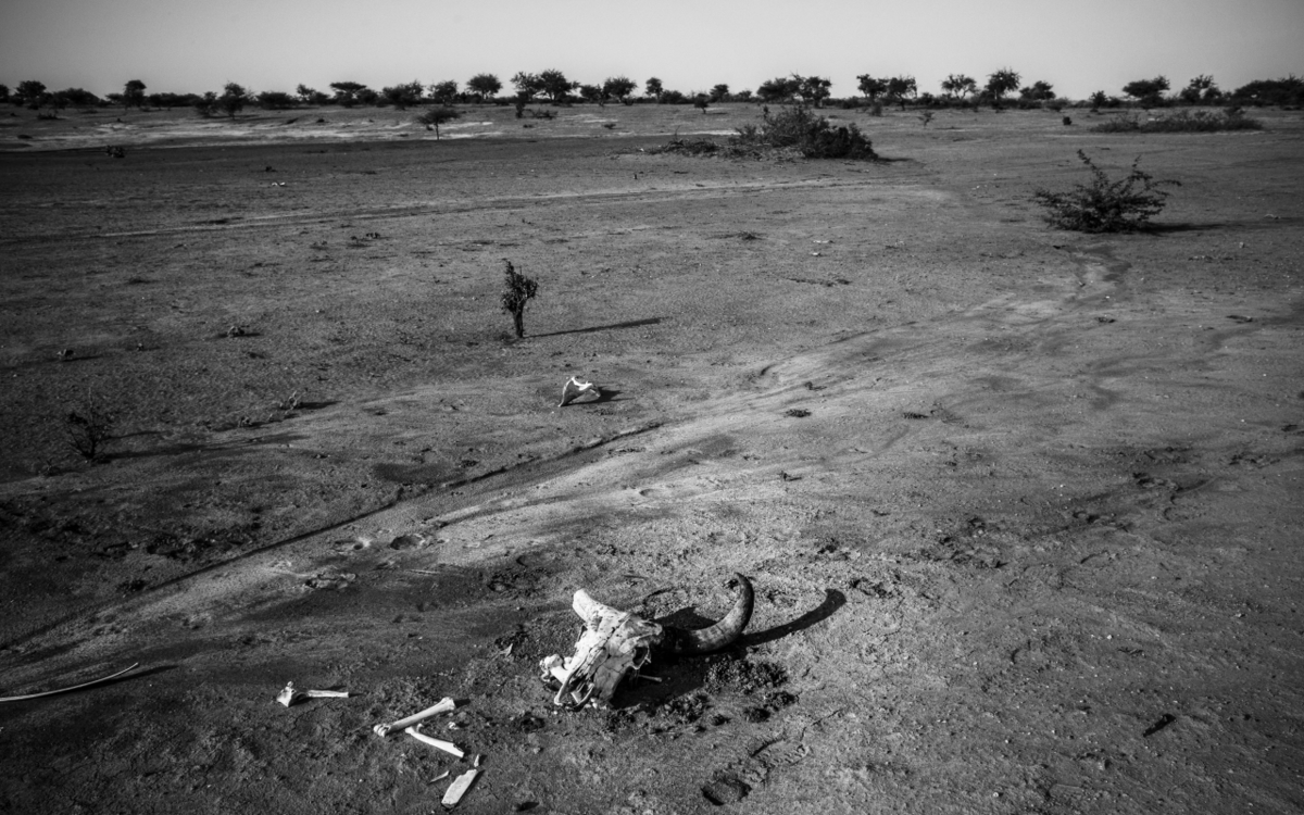 GFFA for New Perspectives on the Planet’s Soils