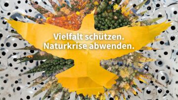 Ich bin ein Alternativtext