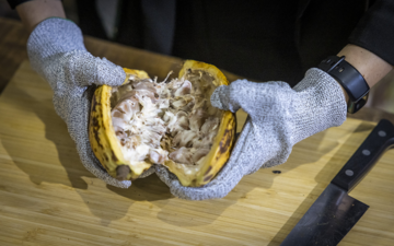 Ich bin ein Alternativtext