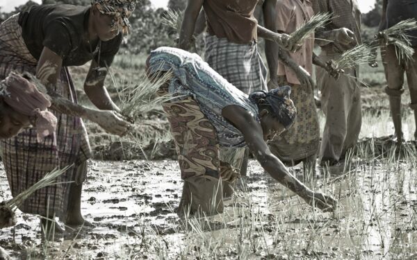 New Jobs for the poorest