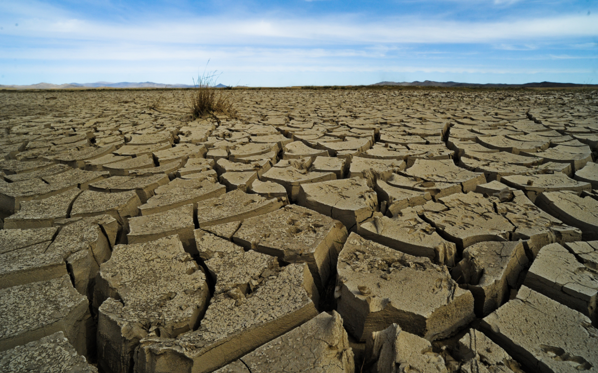 Wie hängen Transformation und Krisenintervention zusammen, Herr Dr. Frick?