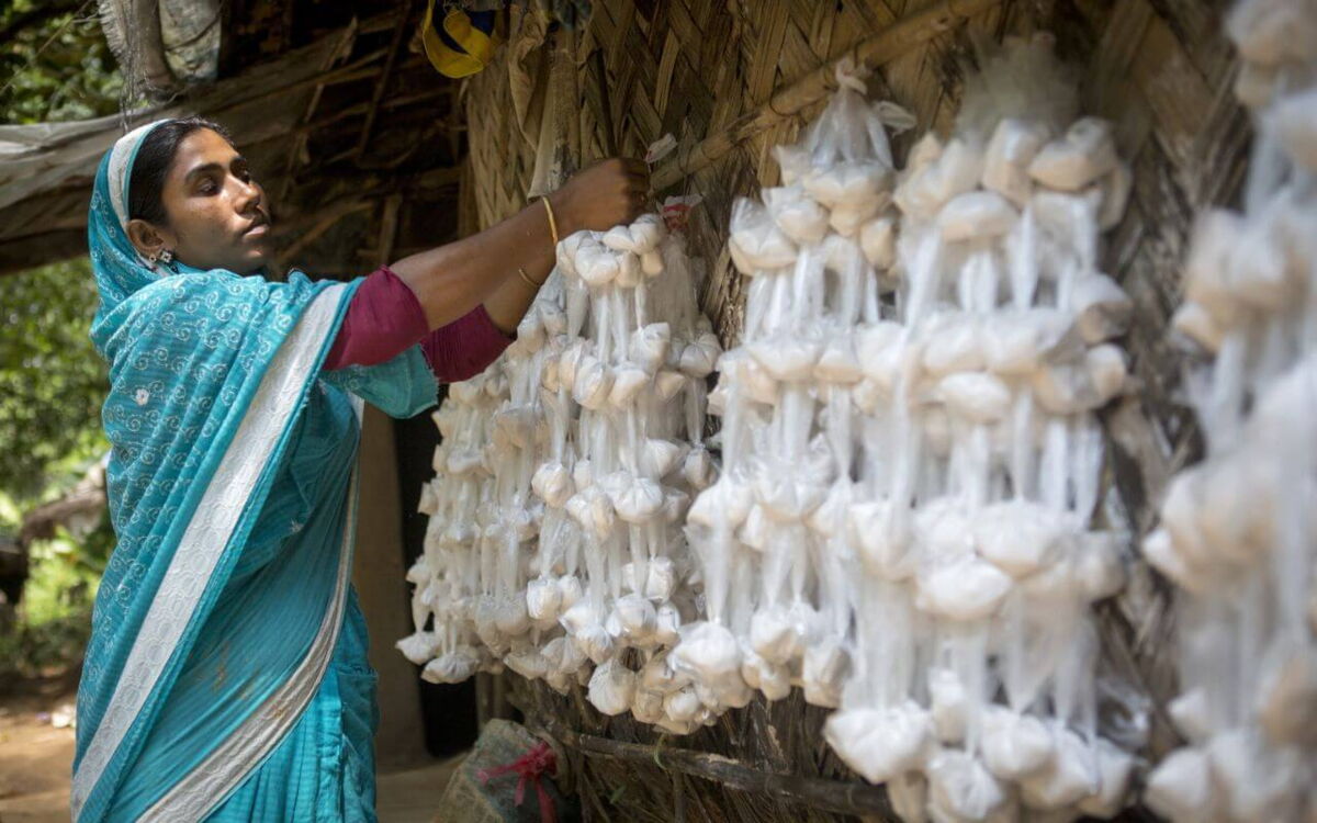 Gender-transformative Ansätze: Potenziale aller fördern