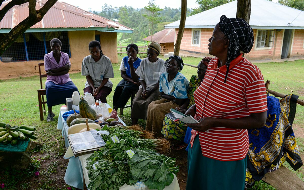 "The Green Revolution reaches its limits"