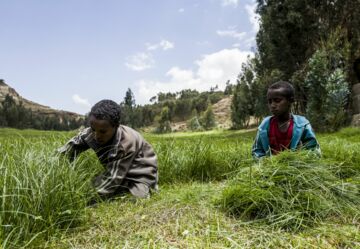 Ich bin ein Alternativtext