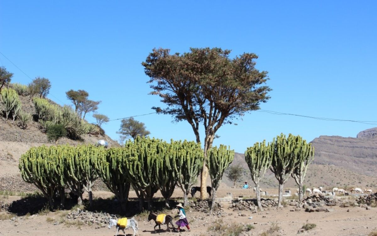 Widerstandsfähigkeit in Krisenzeiten