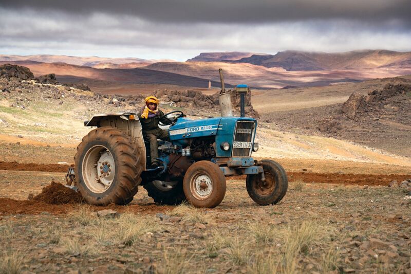 Ich bin ein Alternativtext