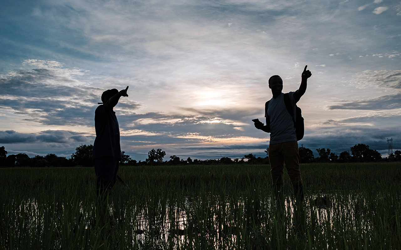 Reisfeld in Ghana. Photo: Nyani Quarmyne/nqphotography.com