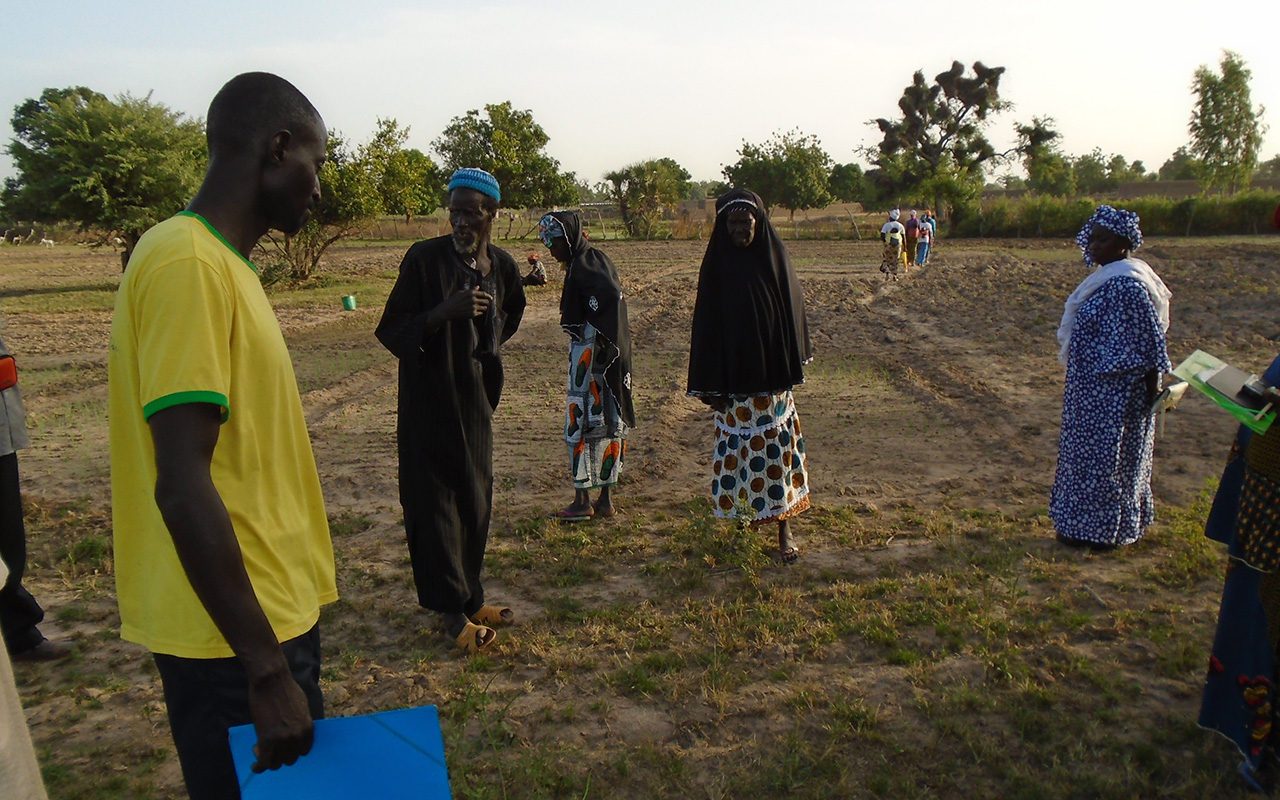 Ich bin ein Alternativtext