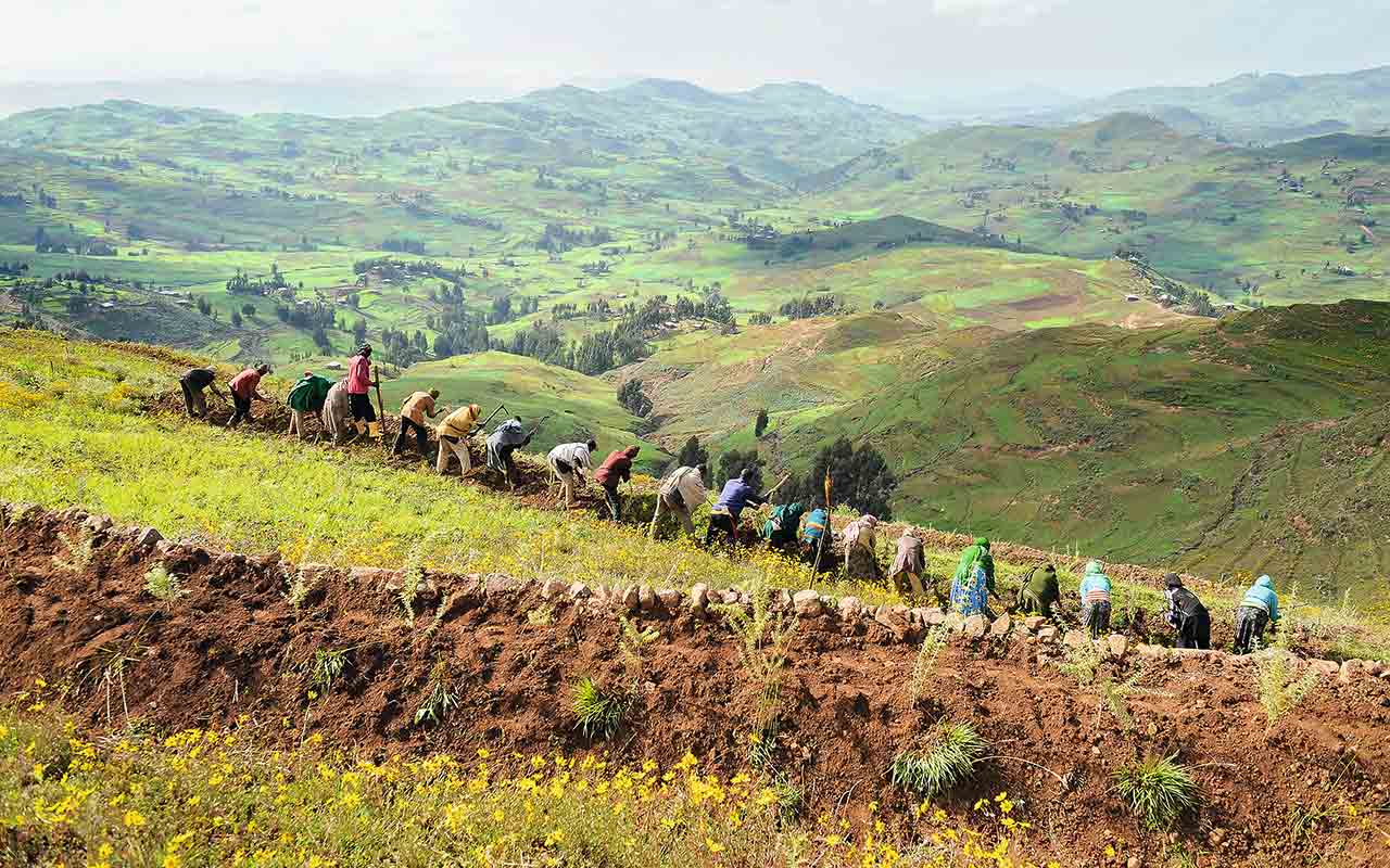 Ich bin ein Alternativtext